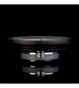 Gladen RS-X 10 SLIM D2 