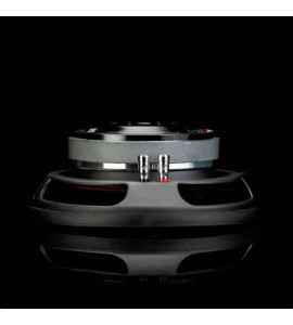 Gladen RS-X 10 SLIM D2 