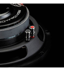 Gladen RS-X 10 SLIM D2 